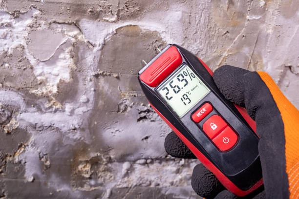 Water Damage Restoration in Wayland, MI