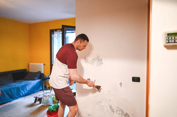Certified Mold Removal in Wayland, MI